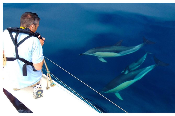 Dolphin Watching from Fuzeta - Cancellation rules and booking judgment