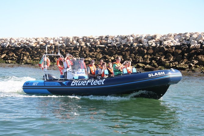 Dolphin Watching from Lagos with Marine Biologists - Practical tips before you board