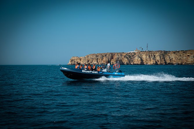 Dolphin Watching from Lagos with Marine Biologists - The ride back along the Algarve coast