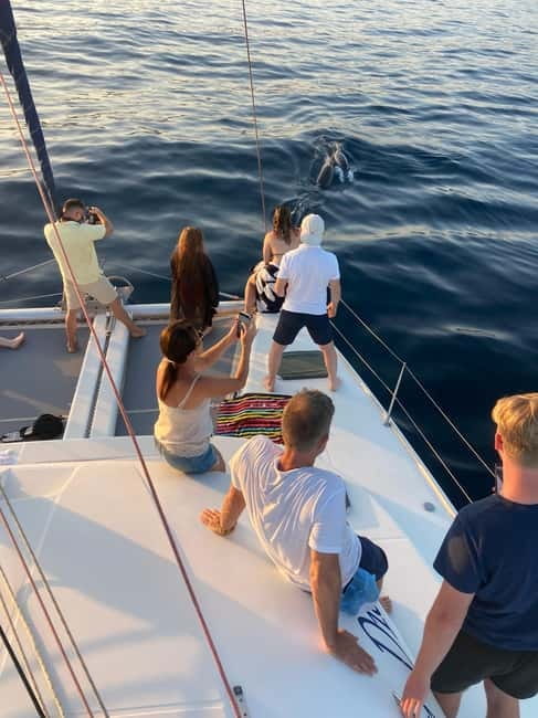 Dolphin watching in Estepona - Leaving Estepona Marina on the Lagoon 380