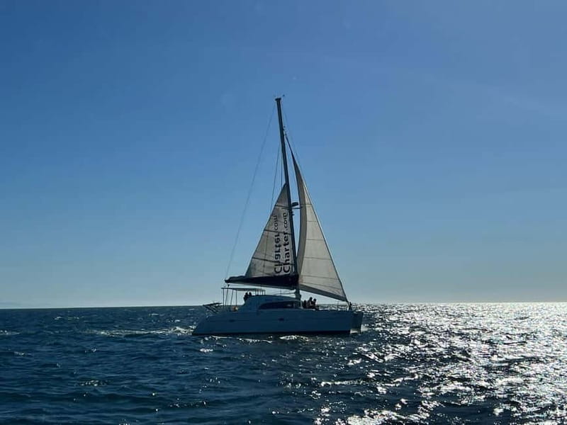 Dolphin watching in Estepona - Is $47 a fair price?
