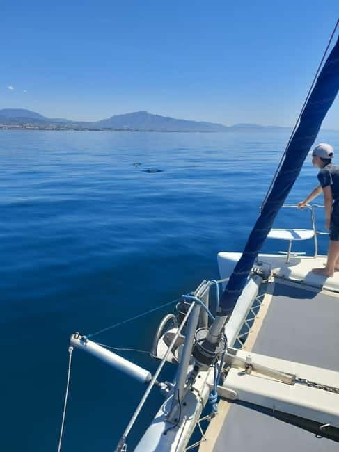 Dolphin watching in Estepona - Who will enjoy this trip most