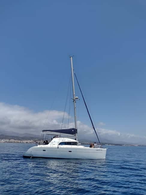 Dolphin watching in Estepona - Searching the bay for dolphins