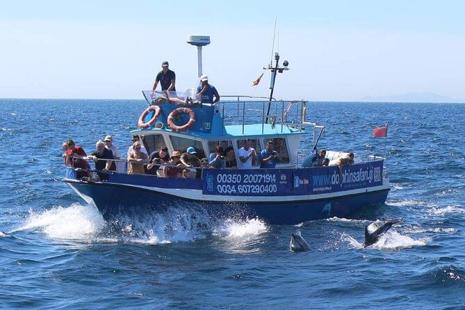 Dolphin Watching in Gibraltar Dolphin Safari V.I.P - Views of Gibraltar, Spain, and Africa