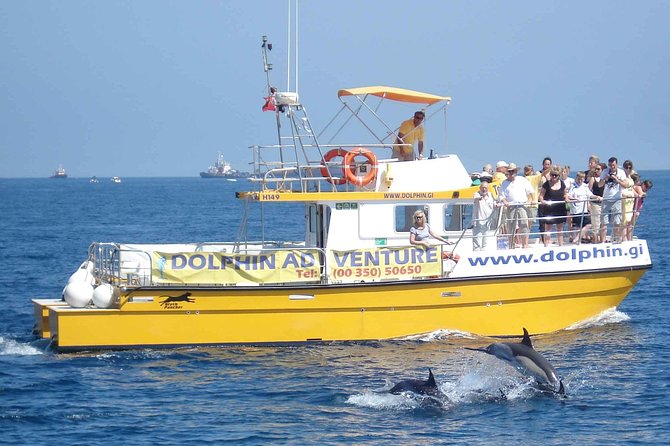 Dolphin Watching in Gibraltar & Fast Track Priority Cable Car - Weather can change the whole plan