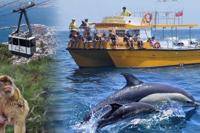 Dolphin Watching in Gibraltar & Fast Track Priority Cable Car - The cable car adds a second, very different Gibraltar
