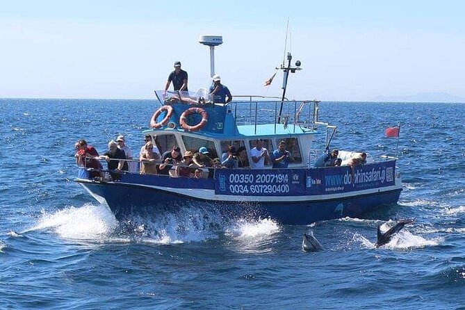 Dolphin Watching in Gibraltar with Dolphin Safari - How the timing and cancellation rules affect your plans
