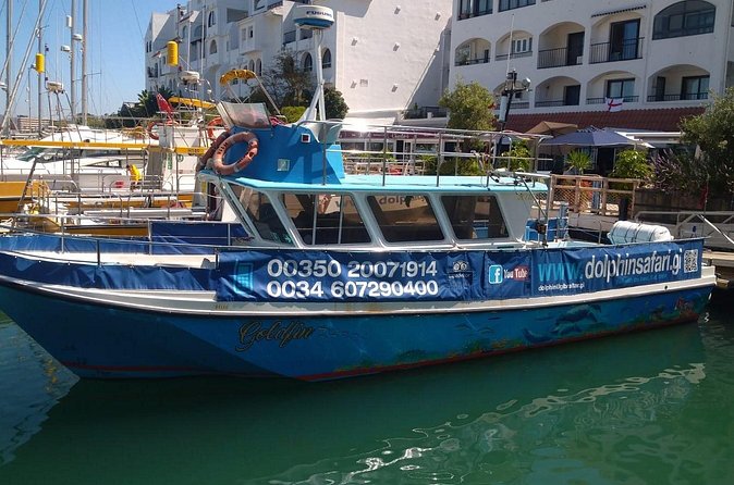 Dolphin Watching in Gibraltar with Dolphin Safari - Six practical questions to settle before booking