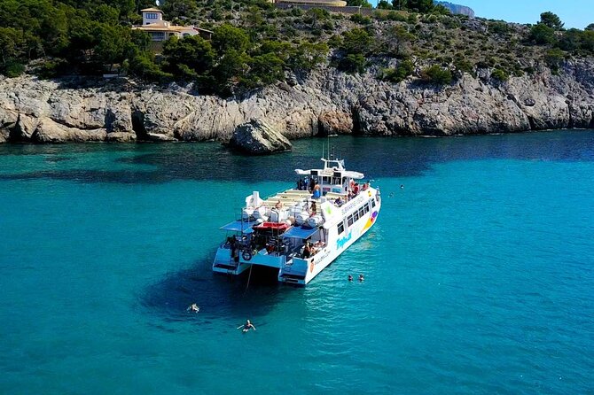 Dolphin Watching in Mallorca (Paguera) - Paguera is the starting point