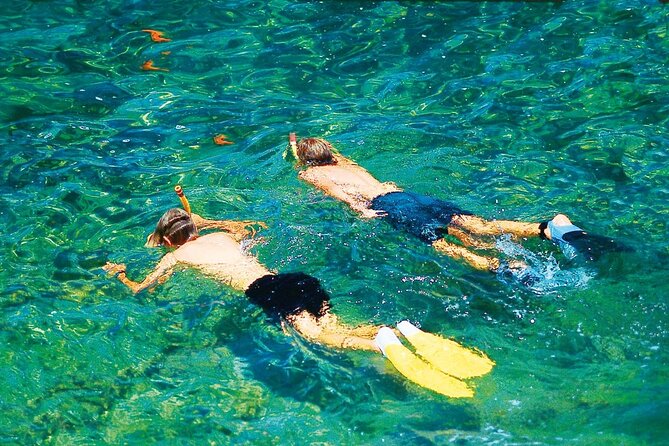 Dolphin Watching in Mallorca (Paguera) - Who will enjoy this trip most?