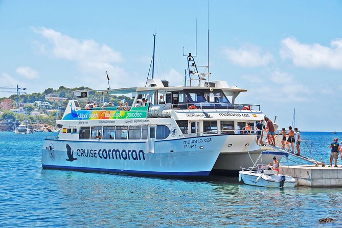 Dolphin Watching in Mallorca (Paguera) - The swim stop near Camp de Mar