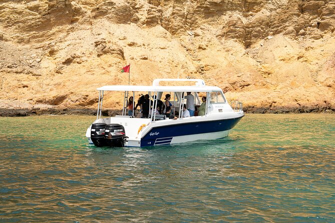 Dolphin Watching in Muscat - Who Will Get the Most From This Trip