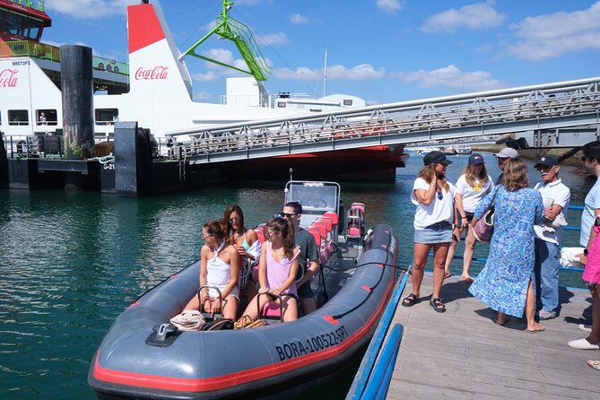 Dolphin watching in Setúbal - Why Setúbal is a strong place for dolphin watching