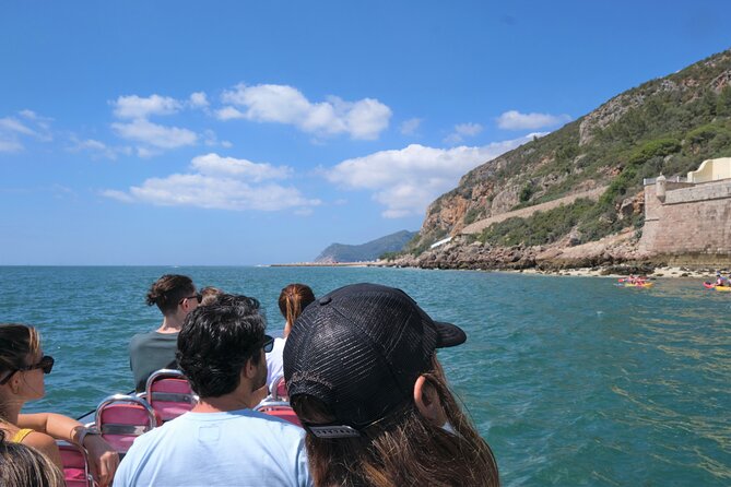 Dolphin watching in Setúbal - Value at $44.76 per person