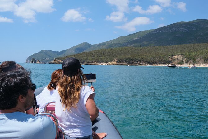 Dolphin watching in Setúbal - Practical details for your day