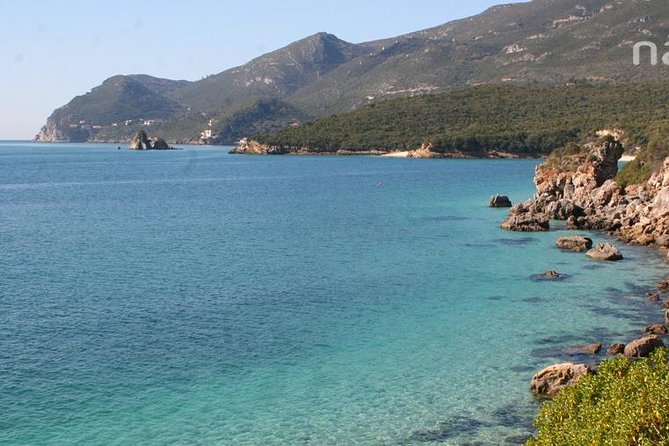 Dolphin Watching in the Wild - Half Day - A private road tour with a shared boat