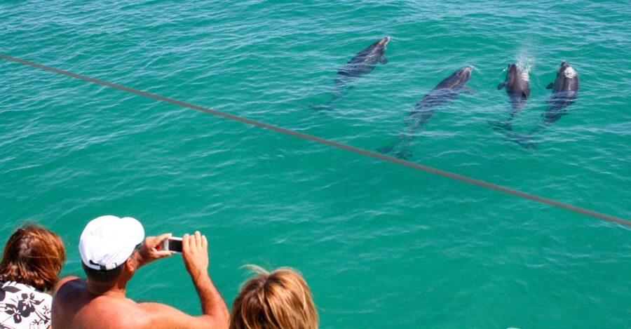 Dolphin Watching in the Wild - Half Day Private Tour - Why the River Setting Matters