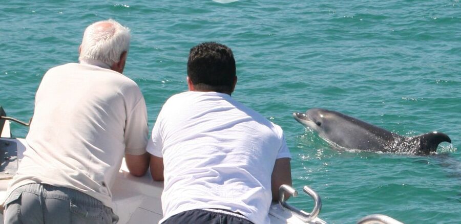 Dolphin Watching in the Wild - Half Day Private Tour - Cancellation and Booking Flexibility