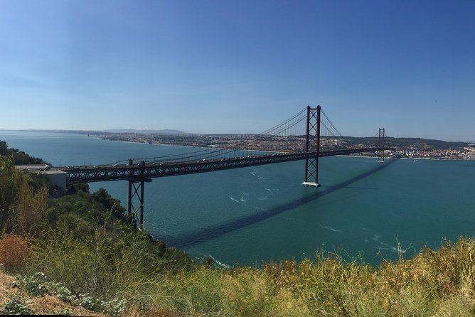 Dolphin Watching in the Wild - Half Day - Setúbal and the Sado River cruise