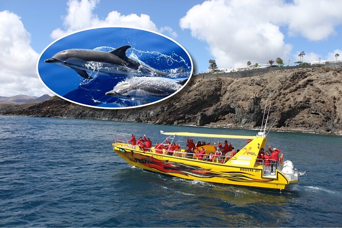 Dolphin Watching Mini Cruise and Snorkeling from Lanzarote - Quick points to know