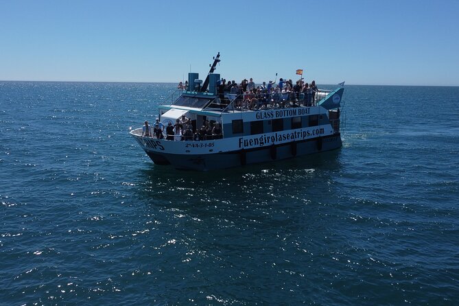 Dolphin watching on a Catamaran in Fuengirola - Key points before you book