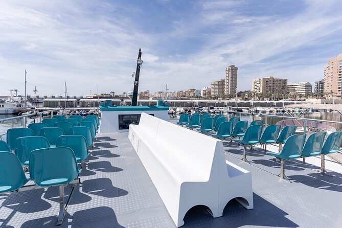 Dolphin watching on a Catamaran in Fuengirola - What happens when dolphins appear