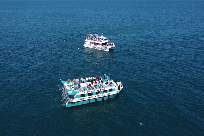 Dolphin watching on a Catamaran in Fuengirola - Who will enjoy this boat trip most?