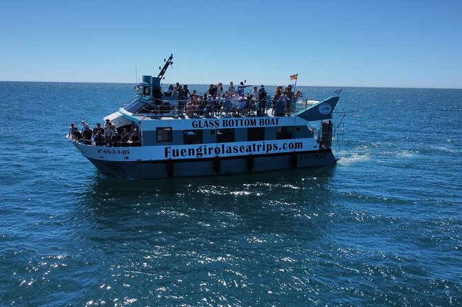 Dolphin watching on a Catamaran in Fuengirola - Two hours of open water and dolphin watching