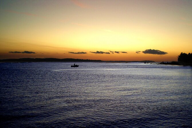 DOLPHIN WATCHING | Pula Boat - Who will enjoy this Pula dolphin trip