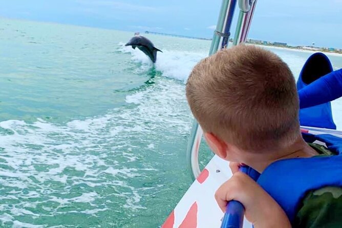 Dolphin-Watching Speedboat Cruise in Destin Harbor - Key points at a glance