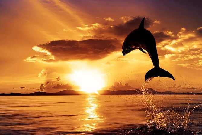 Dolphin Watching & Sunset Boat Tour With Dinner and Drinks - Mali Brijun and Fort Brioni Minor