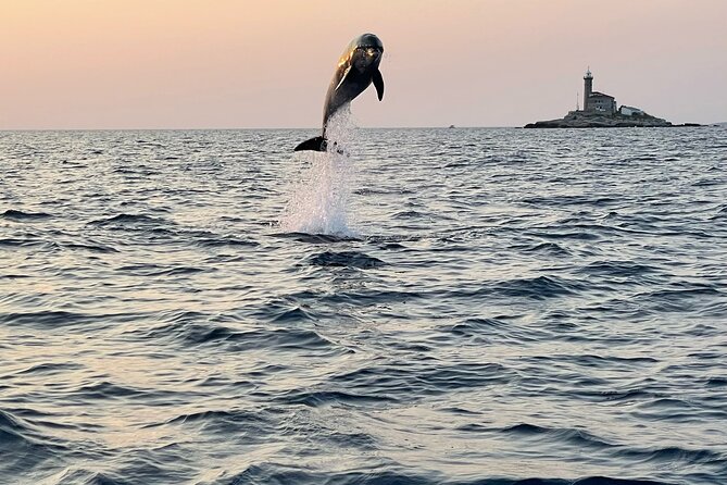 Dolphin Watching Sunset Speedboat Tour with Drinks in Rovinj - Why sunset is the right time for this boat trip