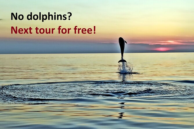 Dolphin Watching Sunset Speedboat Tour with Drinks in Rovinj - Finding the boat at Rovinj’s pier