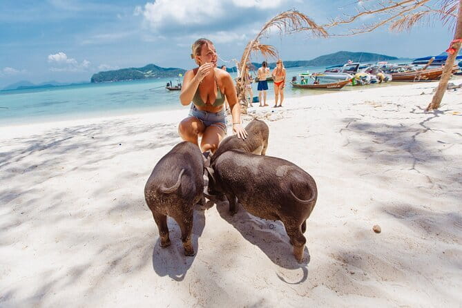 Dolphin Watching Tan and Pig Island Tour from Koh Samui - Pig Island is the tour’s surest crowd-pleaser