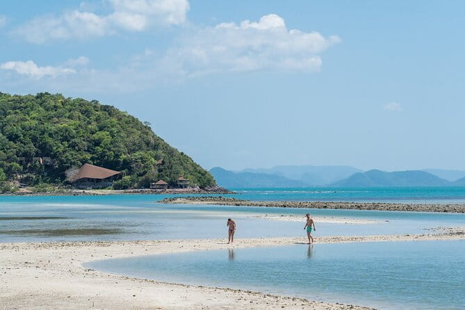 Dolphin Watching Tan and Pig Island Tour from Koh Samui - Pickup details need checking before you leave