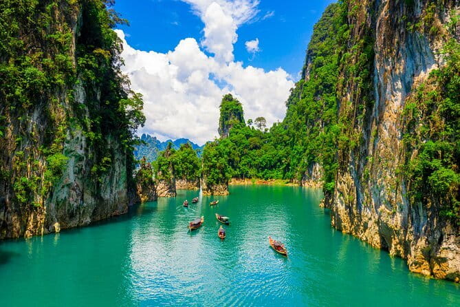 Dolphin Watching Tan and Pig Island Tour from Koh Samui - What can go wrong, and how to avoid it