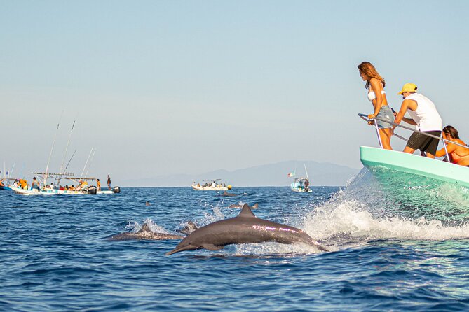 Dolphin Watching Tour - Key points to know before booking