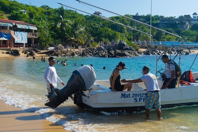 Dolphin Watching Tour - Searching for dolphins in open water
