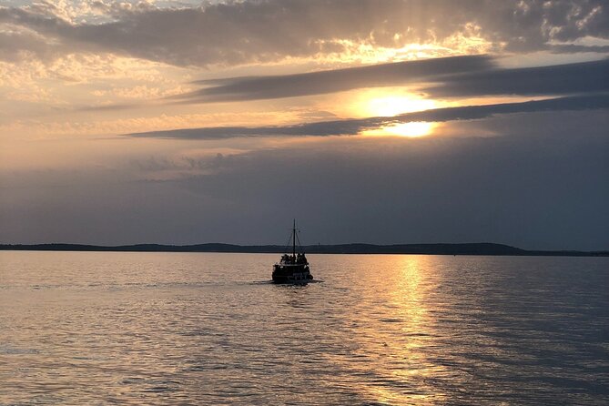 Dolphin Watching Tour – 85% Chance – Drinks & Dinner Included - Beer, wine, juice, and the party-boat question