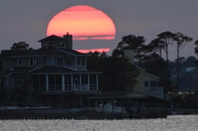 Dolphin Watching Tour in Orange Beach - The important access question