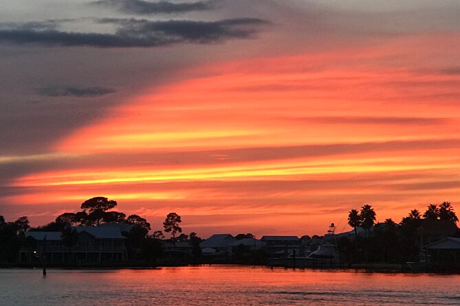 Dolphin Watching Tour in Orange Beach - Is $29 a good value?
