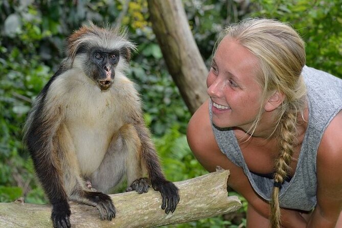 Dolphin Watching Tour & Josani Forest Sea Trip - Zanzibar - A 5:30 a.m. start from Stone Town