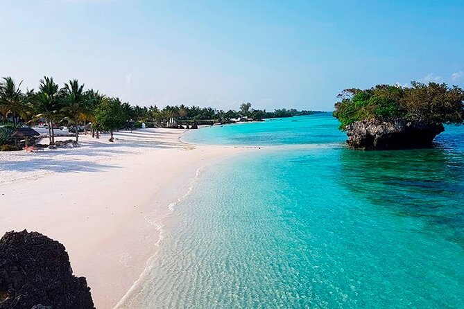 Dolphin Watching Tour & Josani Forest Sea Trip - Zanzibar - From forest paths to Kizimkazi coast