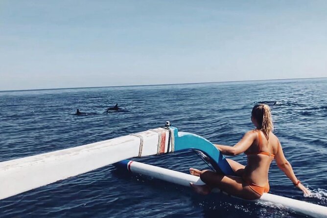 Dolphin Watching Tour, Swimming with Dolphins and Snorkeling - Quick points before you book
