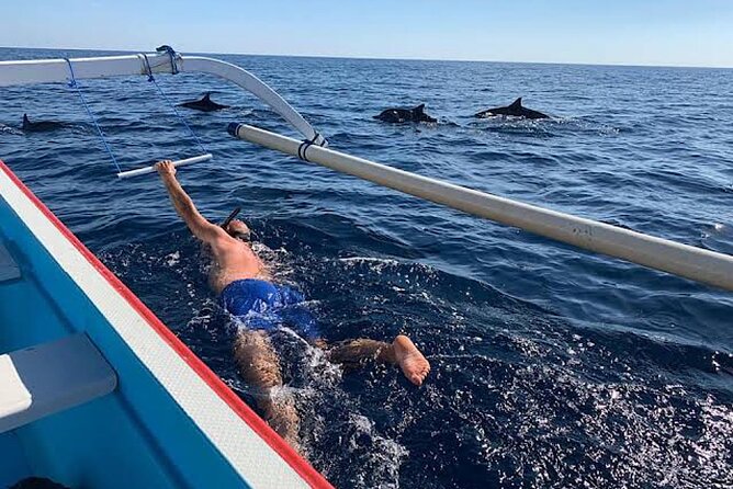 Dolphin Watching Tour, Swimming with Dolphins and Snorkeling - The guides and drivers who shape the morning