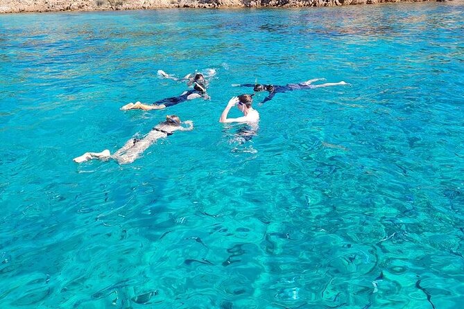 Dolphin Watching Tour with Snorkeling from Olbia - Why this Olbia boat trip works so well