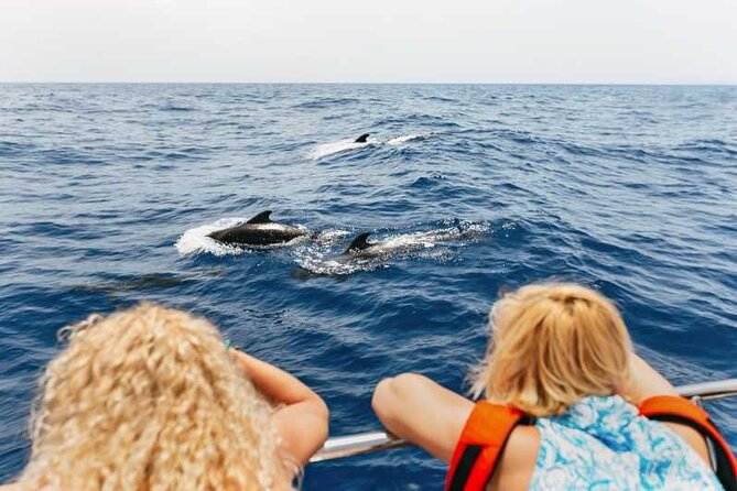 Dolphin Watching Tour with Snorkeling from Olbia - Figarolo Beach: turquoise water and a second swim