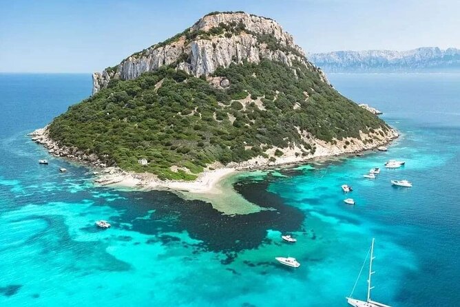 Dolphin Watching Tour with Snorkeling from Olbia - What is included for the $72.59 price
