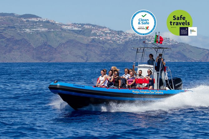 Dolphin - Whale - Turtle - Bird Watching - The first priority: finding dolphins and whales