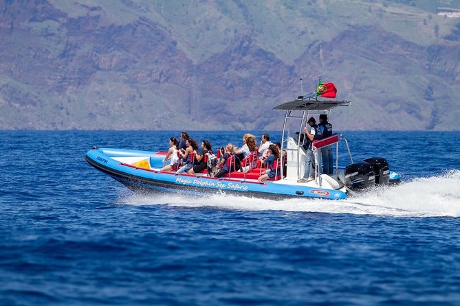 Dolphin - Whale - Turtle - Bird Watching - Why the small group makes a difference